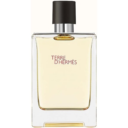 Hermes Terre D'Hermes Eau de Toilette Spray 200ml